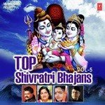 Top Shivratri Bhajans Vol - 5 - Super Cassettes Industries Private Limited Song Download